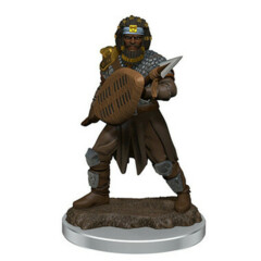 D&D Premium Painted Figure: Male Human Fighter